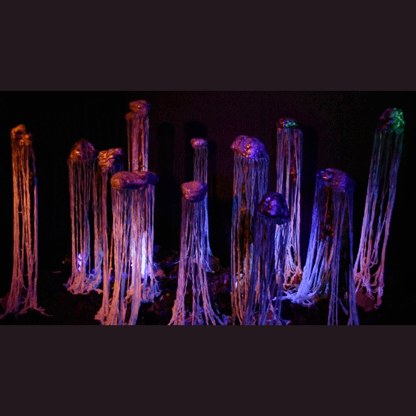 images/Acceuiltravauxrecent/image35.gif#joomlaImage://local-images/Acceuiltravauxrecent/image35.gif?width=600&height=600