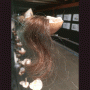 images/Acceuiltravauxrecent/image26.gif