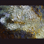 images/Moutons/image10.gif