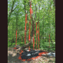 images/Pierres-temps/image01.gif