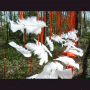 images/Pierres-temps/image12.gif