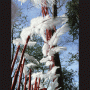 images/Pierres-temps/image14.gif