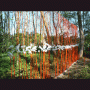images/Pierres-temps/image17.gif