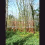 images/Pierres-temps/image18.gif