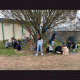 images/VOLCAN/image19.gif